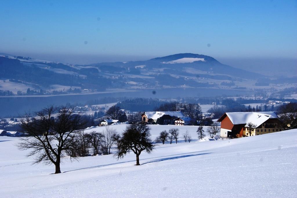 Ferienhof Edtmeier เซลอัมมัวส์ ภายนอก รูปภาพ